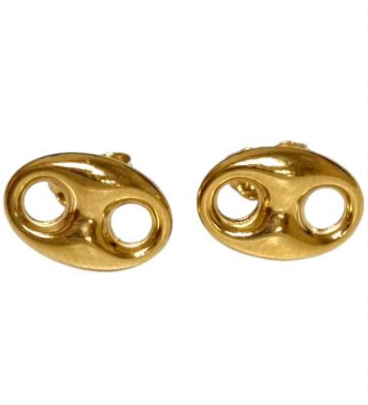 G Type  18K Earrings